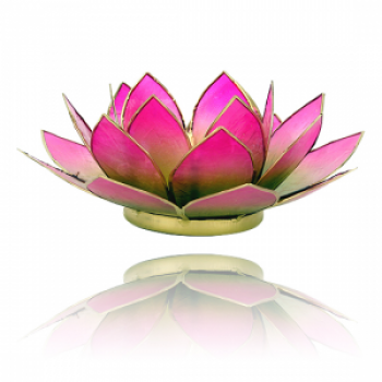 Chakra Lotuslicht grün-rosa Goldrand