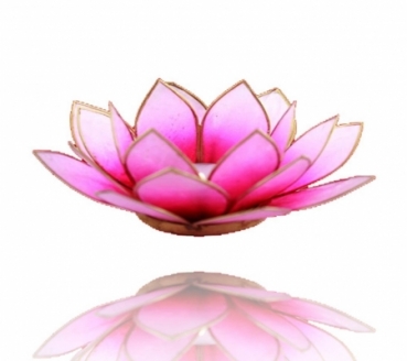 Teelichthalter Lotus Capiz-Muschel mit Goldrand - rosa - hell rosa