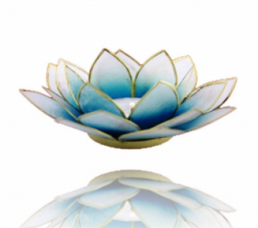 Lotus Capiz-Muschel mit Goldrand blau weiß