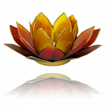 Lotus Tee-Licht-Halter 3-farbig Goldränder