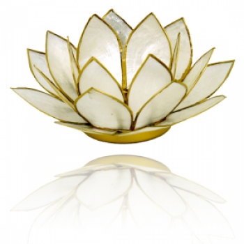 Lotus-Teelichthalter Perlmutt mit goldfarbigem Rand
