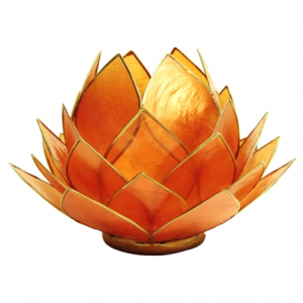 Lotus-Teelicht-Halter Orange Goldrand groß