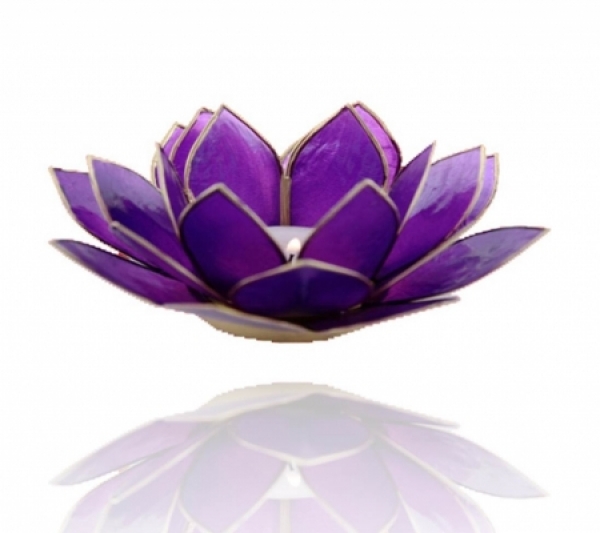 Teelichthalter Chakra Lotus Licht Capiz - violett (Chakra 7) - mit Rand goldfarbig